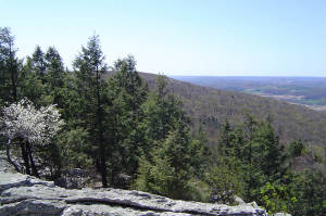 dsc02114.jpg